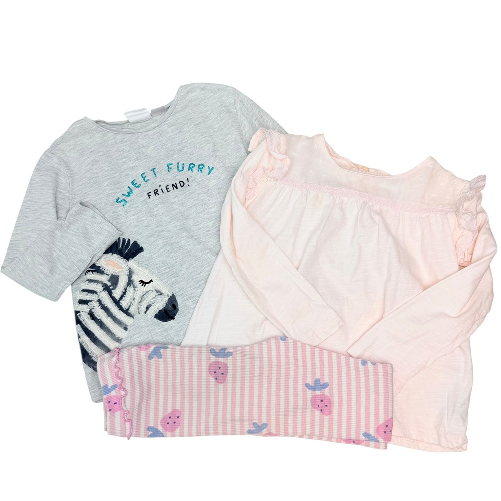 Zara Baby Girls 3pc Bundle Zebra Shirt Pink Lace Top Strawberry Leggings 4-5Y
